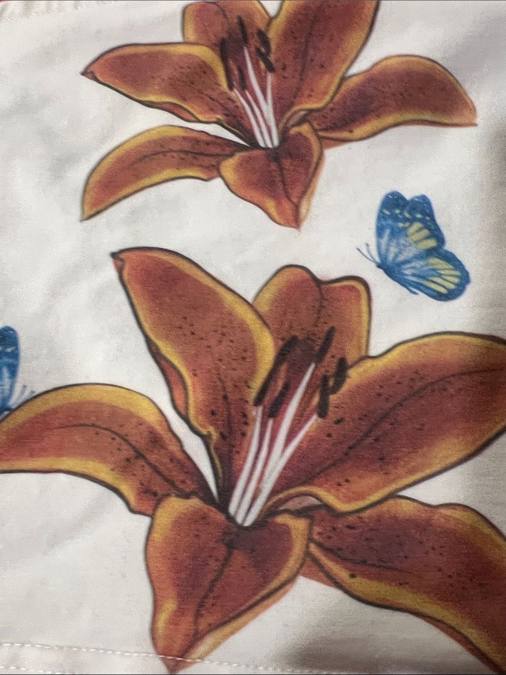 Edikted White Floral Tube Top with Brown Flowers and Blue Butterflies - Picture 4 of 5